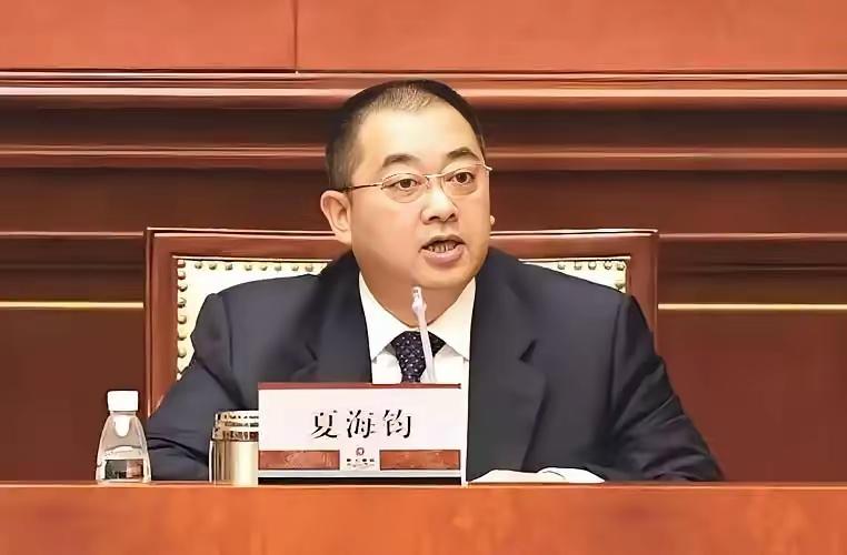 不能让夏海钧逍遥法外，他的罪恶比许家印小不了多少。在恒大的窟窿中，相当一