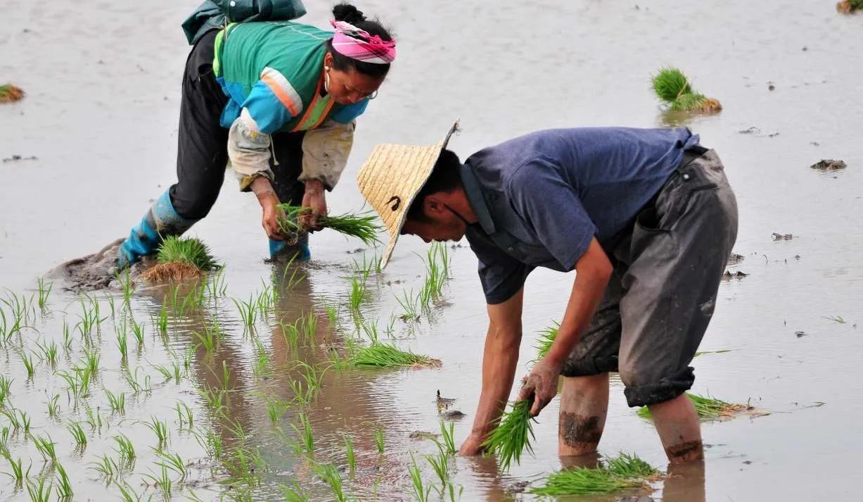 没想到！隔壁老刘，年近65，每个月的养老金，竟然不到两百块！我这才发现，