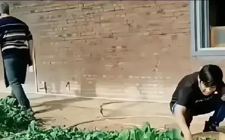 零下十几度，宋小宝没通告没助理，自己打车回铁岭。一头扎进师父赵本山的大棚，