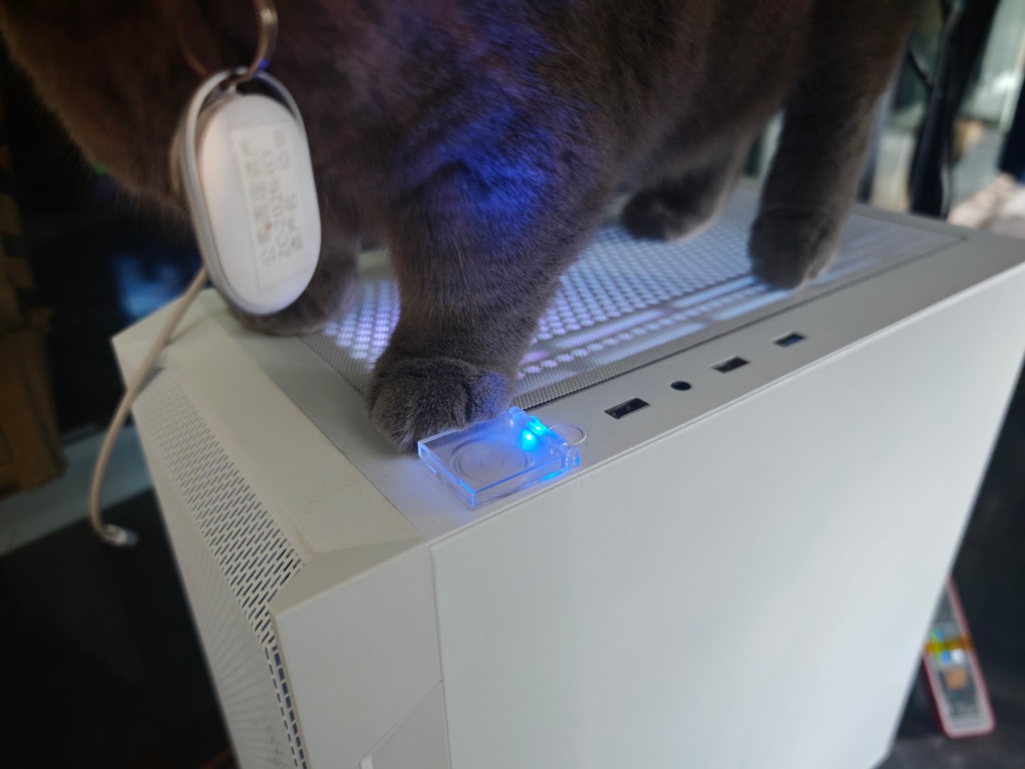 你踩不到了吧？哈哈哈。