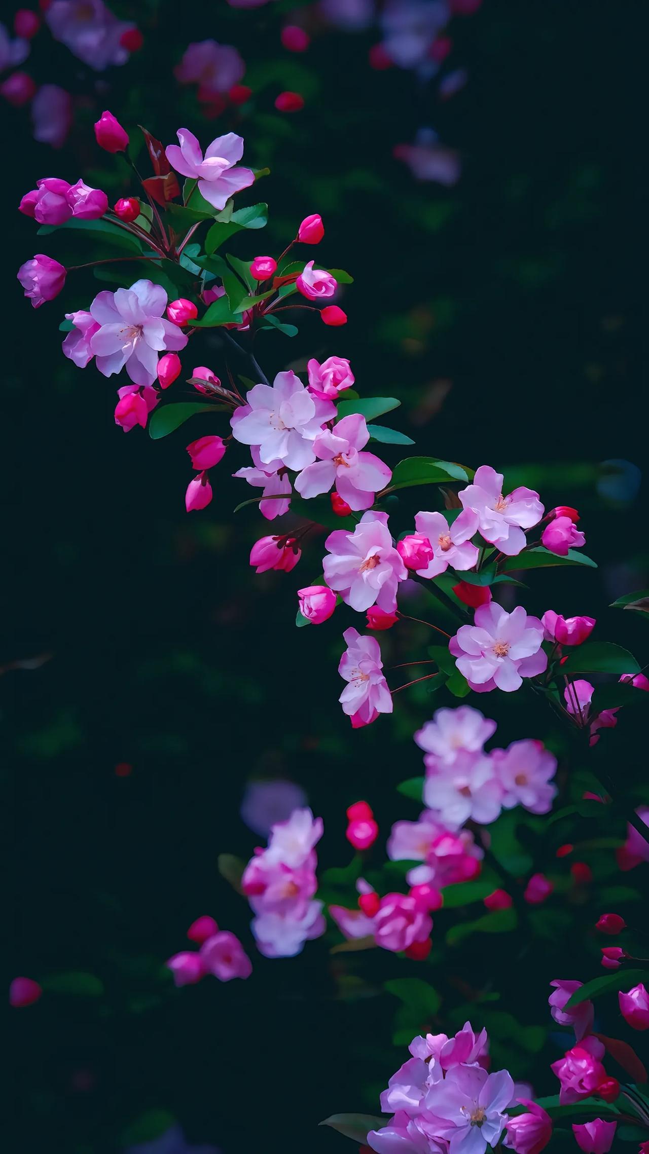 今天，一位南京的初三学生家长和我聊天，询问今年扩招后，往年的录取位次是否还能参考