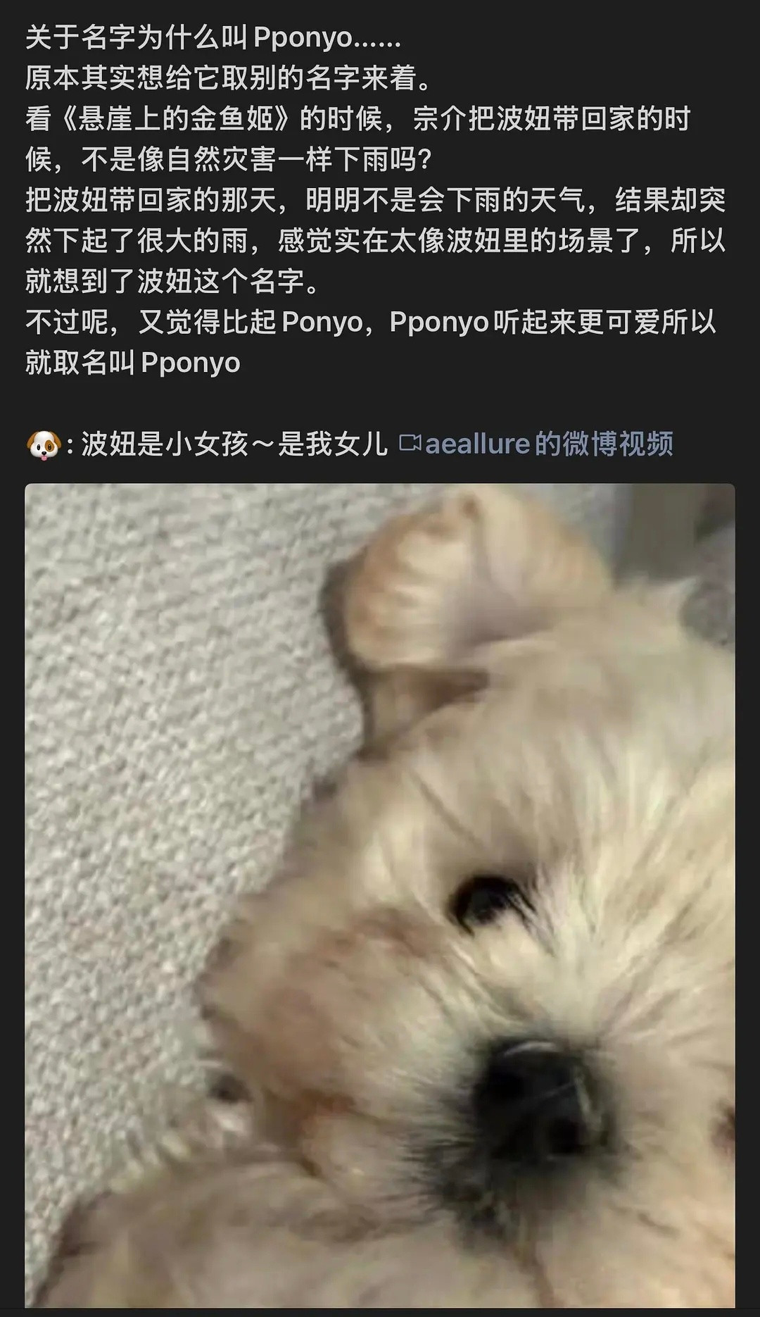 金冬天从救助站领养回这只睡觉爱翻白眼的小狗，并取名为波妞​​​
