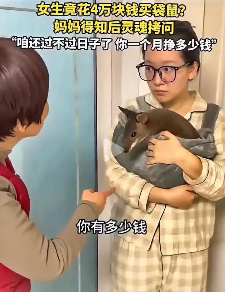 这日子还过不过了？女生瞒着妈妈花4万买袋鼠当宠物，妈妈得知后天都塌了。近期一女