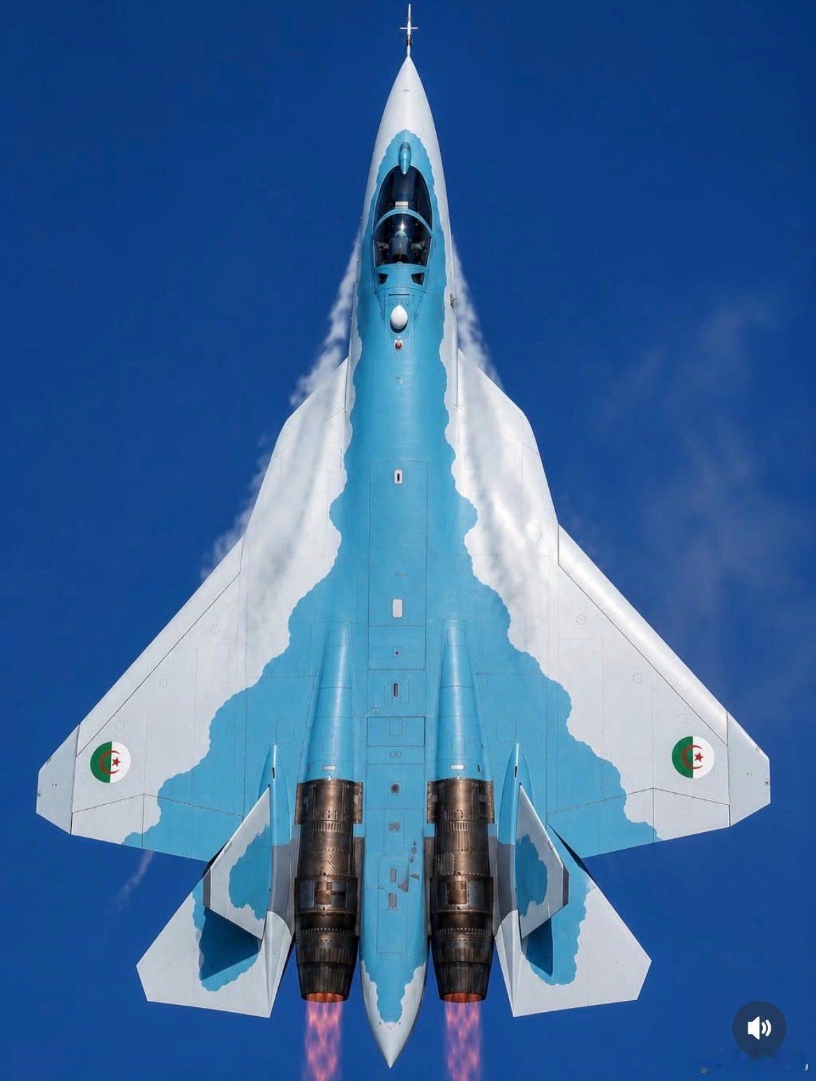 阿尔及利亚🇩🇿空军的俄制第五代苏57E战斗机苏57战斗机苏57​​​