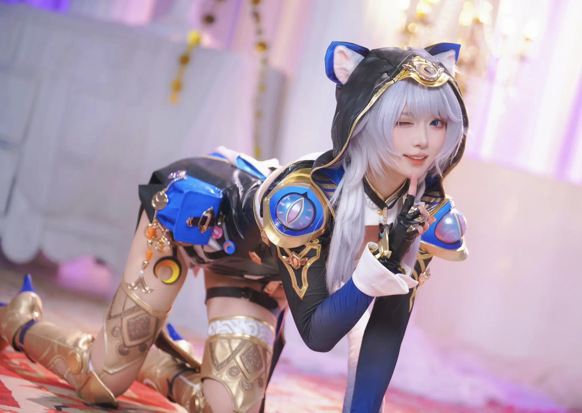 介么萌的猫难道没人喜欢吗！依旧可存