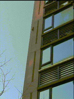 为了一口吃的也是拼了！浙江杭州，一女子在小区散步，突然看到几只松鼠沿着墙壁往上爬