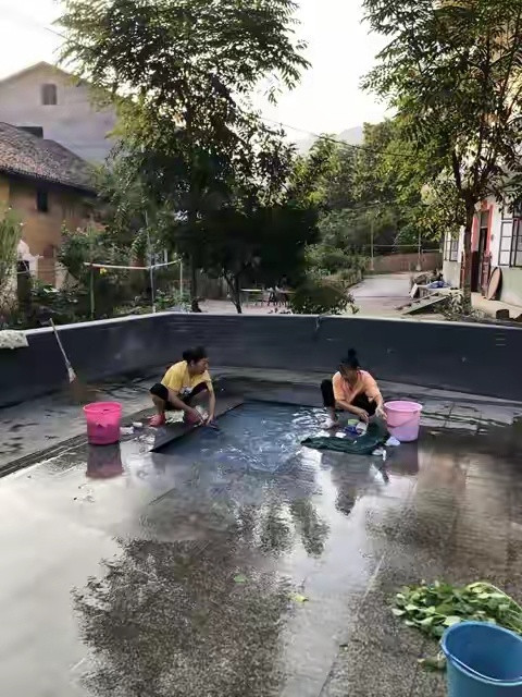 四年婆婆生涯，让我读懂一个真相：好婆婆从不是付出最多的人，而是最懂分寸的人。婆媳相处，贵在一个“轻”