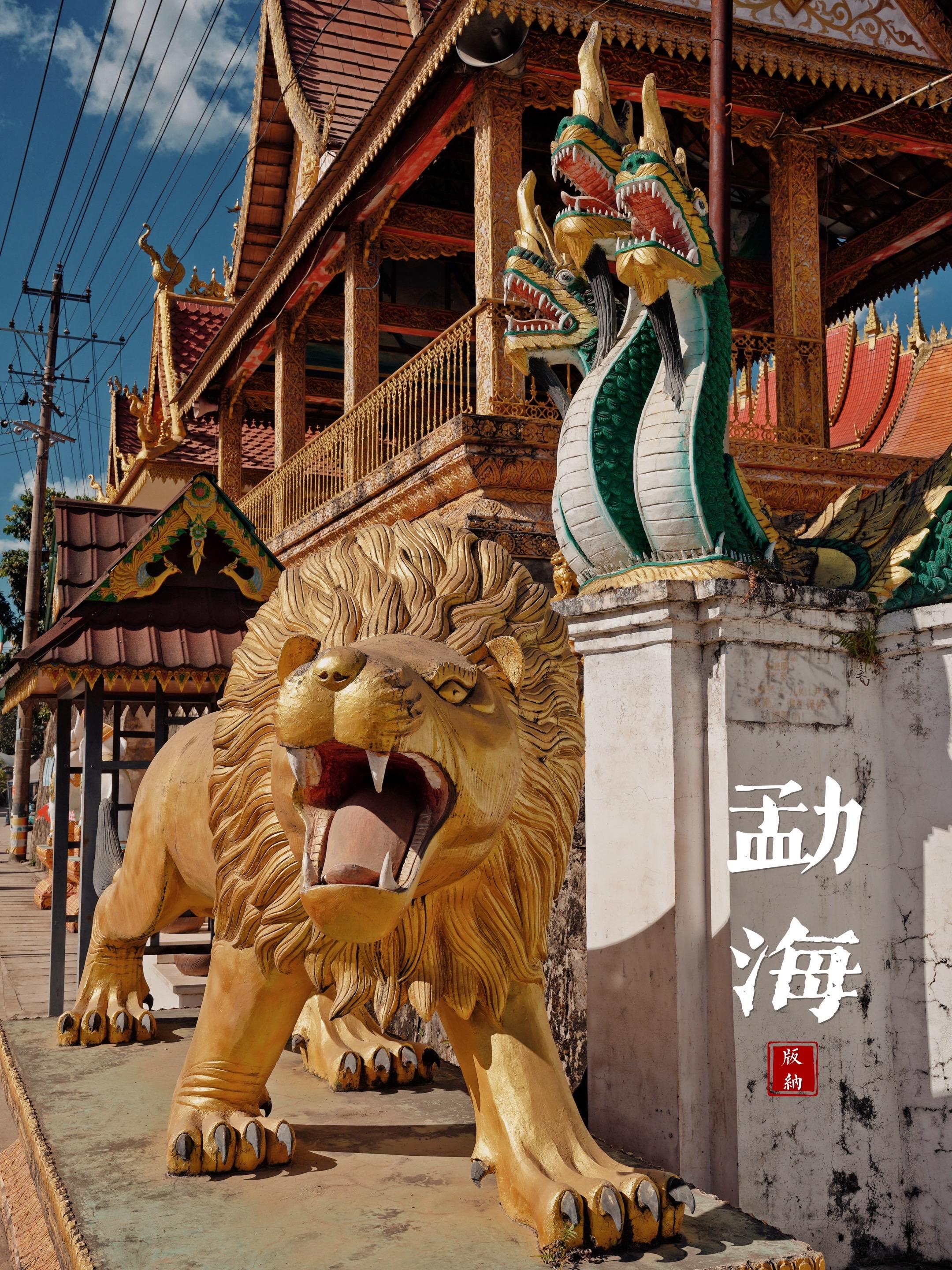 其实90%的人去西双版纳 玩的都是景洪市区  曼听公园，星光夜市跟风去...