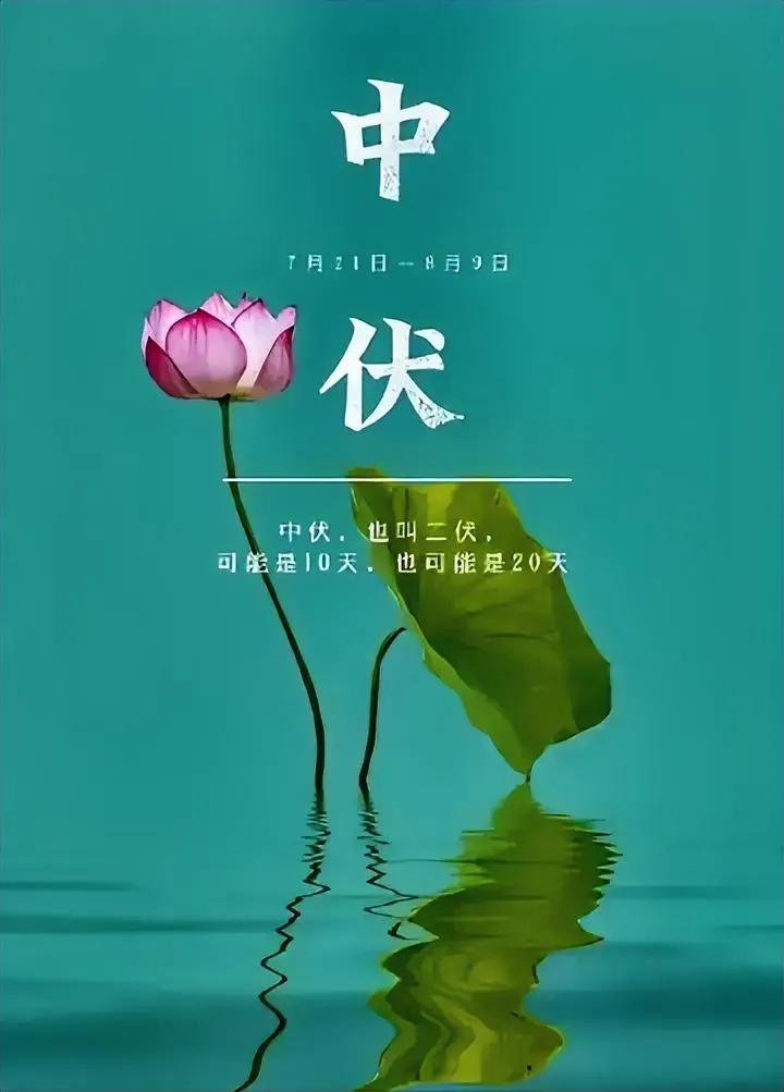 紧急通知！今天就是中伏了老话说的好“中伏，冷飕飕；晚中伏，热死牛”“中伏有雨