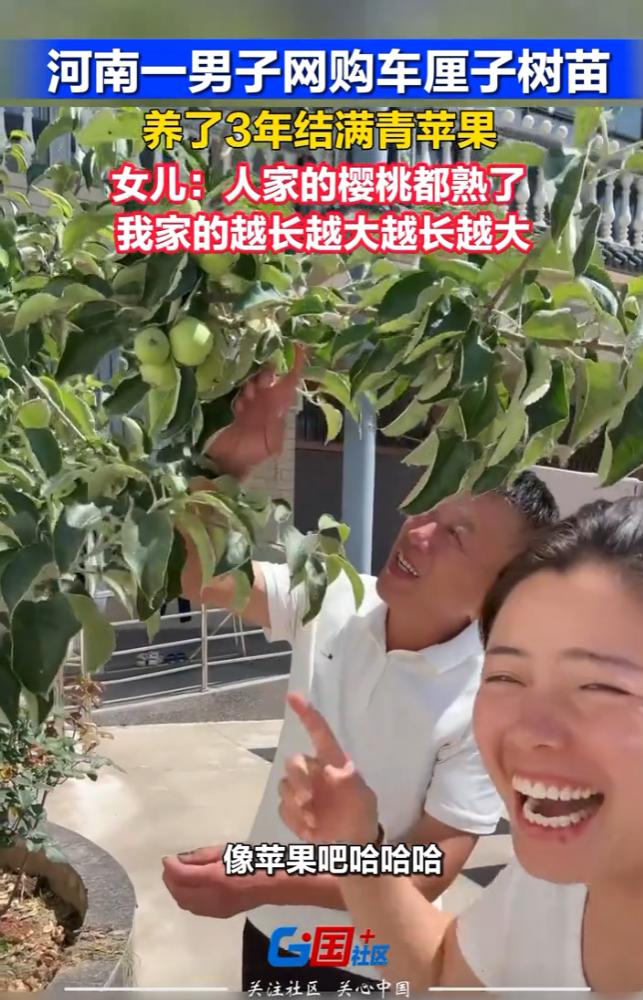 笑不活了！近日河南，男子网购了一颗车厘子树苗，精心栽培了三年却怎么也不结果，家里