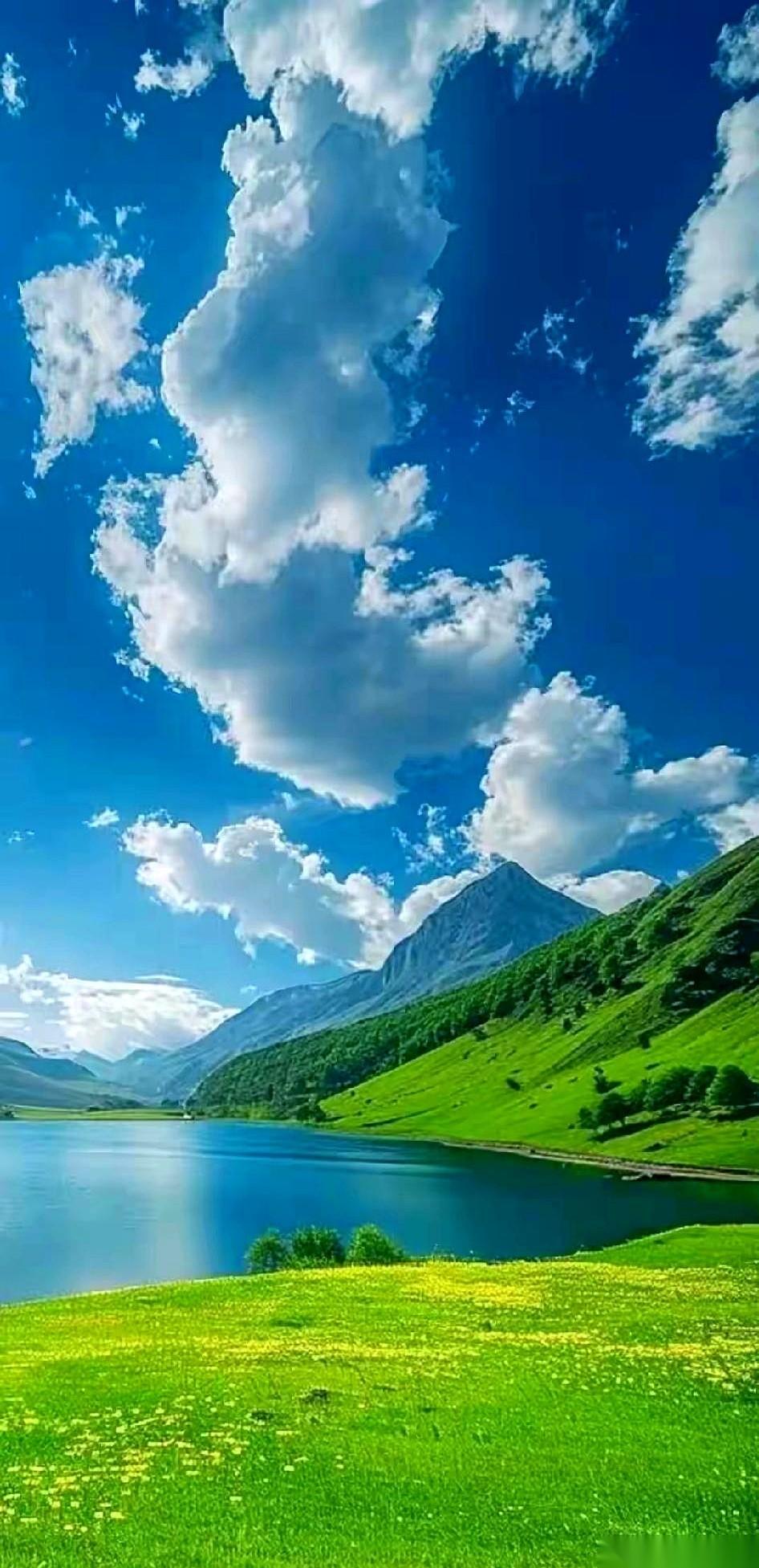 我勒个去，这事儿真是扎心又无奈！一上来就看到一对老夫妻，虚岁都73了，每个月几千