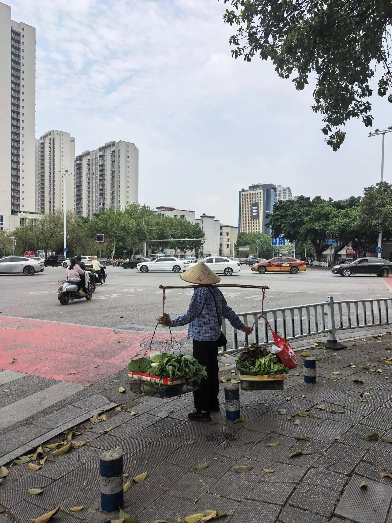 卖菜翁​种菜淋粪村头东​起早贪黑多勤奋​一年到头荷包空​常听市井话闲语