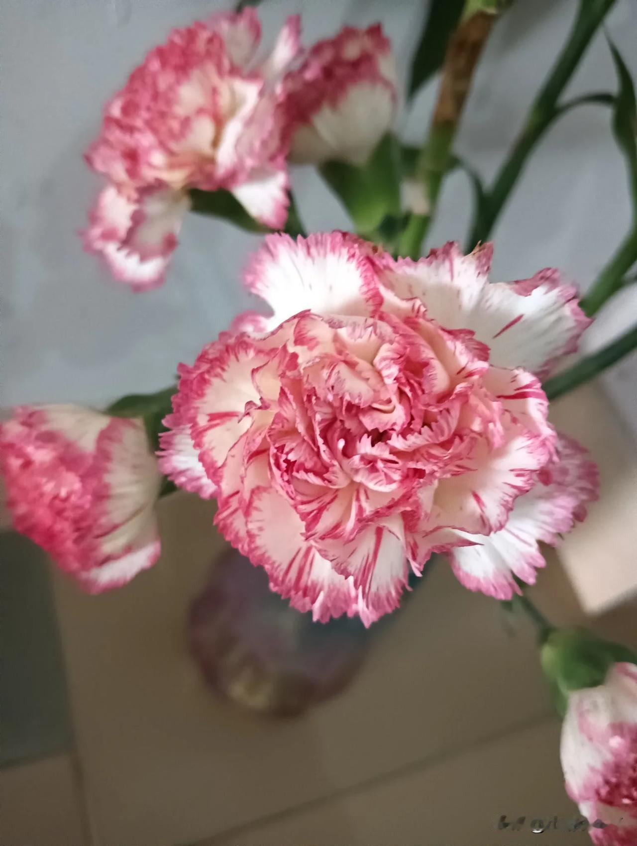 我发现，如果一个人感到情绪低落，这样做，能让你重拾快乐。1.写日记。人生不