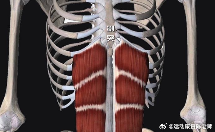 肩颈疼痛可能和腹肌有关腹肌紧张，会影响呼吸模式，产生错误代偿，进而影响胸廓，导