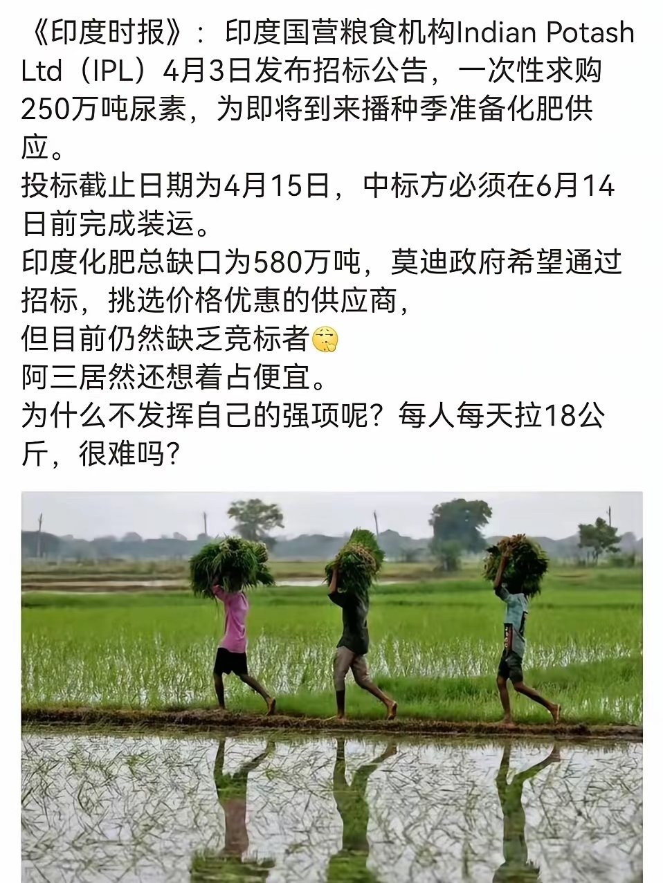 至4月15日，印度尿素采购投标截止日期到了！结果无人竞标。恭喜恭喜啊，阿三这下可