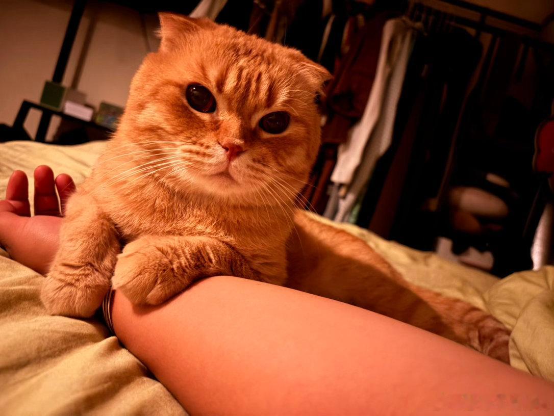 小猫咪～