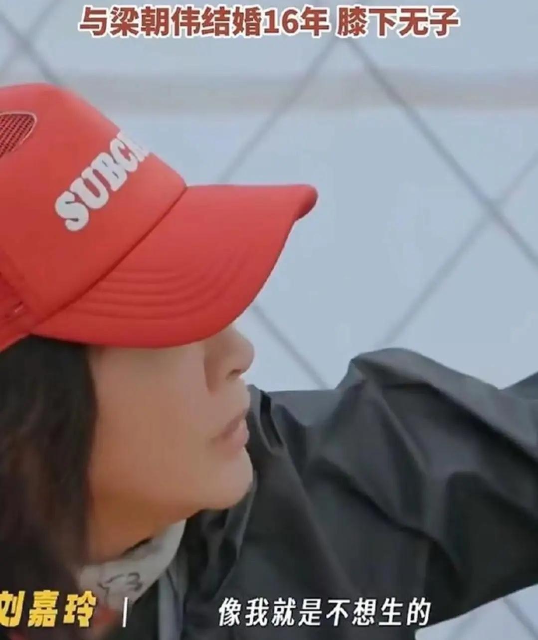 何赛飞说的没错！刘嘉玲不生，刘晓庆不生，叶童不生，杨丽萍不生，陈瑾也不生。作为成