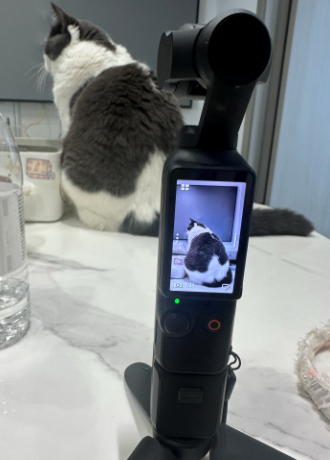 明明才十斤,咋拍出来这么胖
