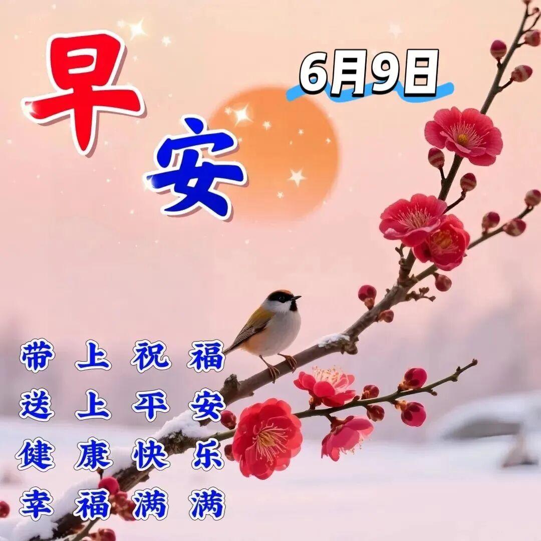 ❤️浅语寄温情，片言藏心意。🌻人海相逢，皆是善缘；🌸朝夕相伴，实属有幸。🌊