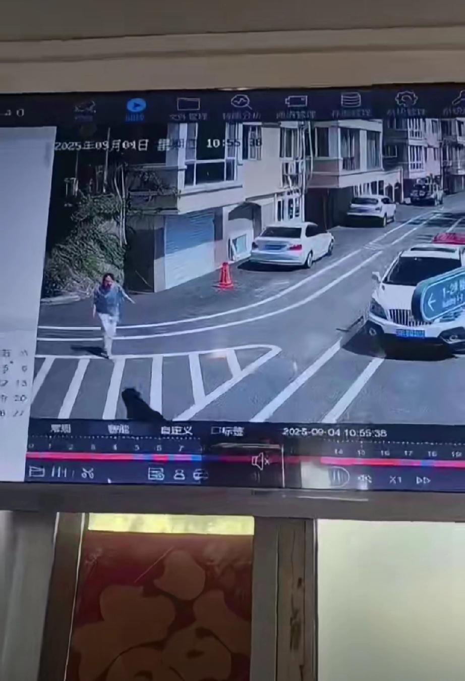 11月14日，网友发布监控视频显示，猛犬未栓绳，主人也不在狗子身边，3分钟的时间