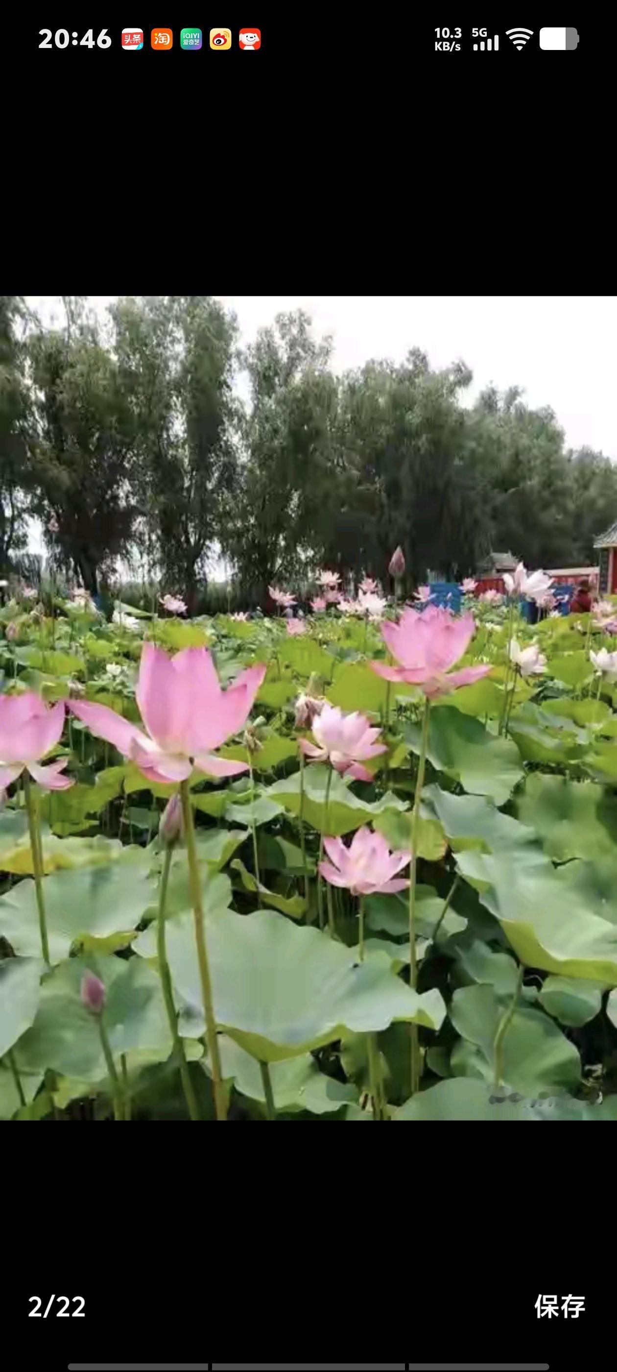 自从河北省文旅喊出口号，“这么近，那么美，周末到河北”后，很多人不理解，为什么周