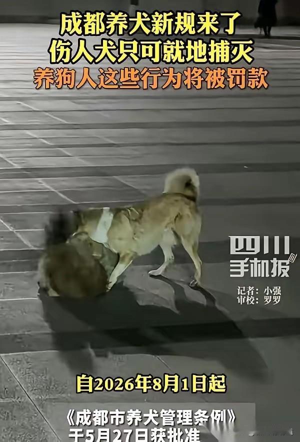 成都养犬新规，8月1号落地。最狠的一条，不是罚款，而是直接把一项权利，给了路上