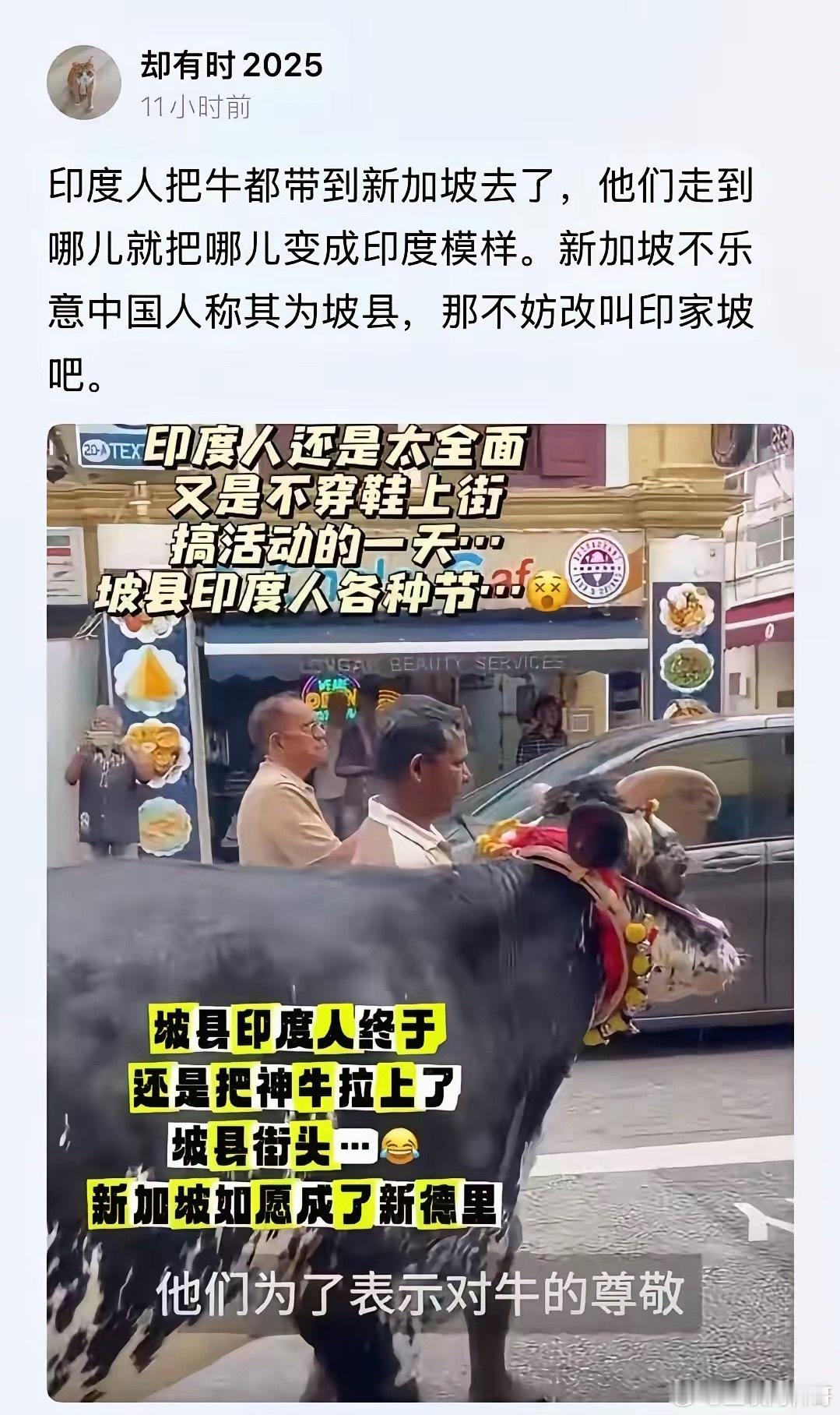 这才是为什么大家都恐惧印度人的原因吧？