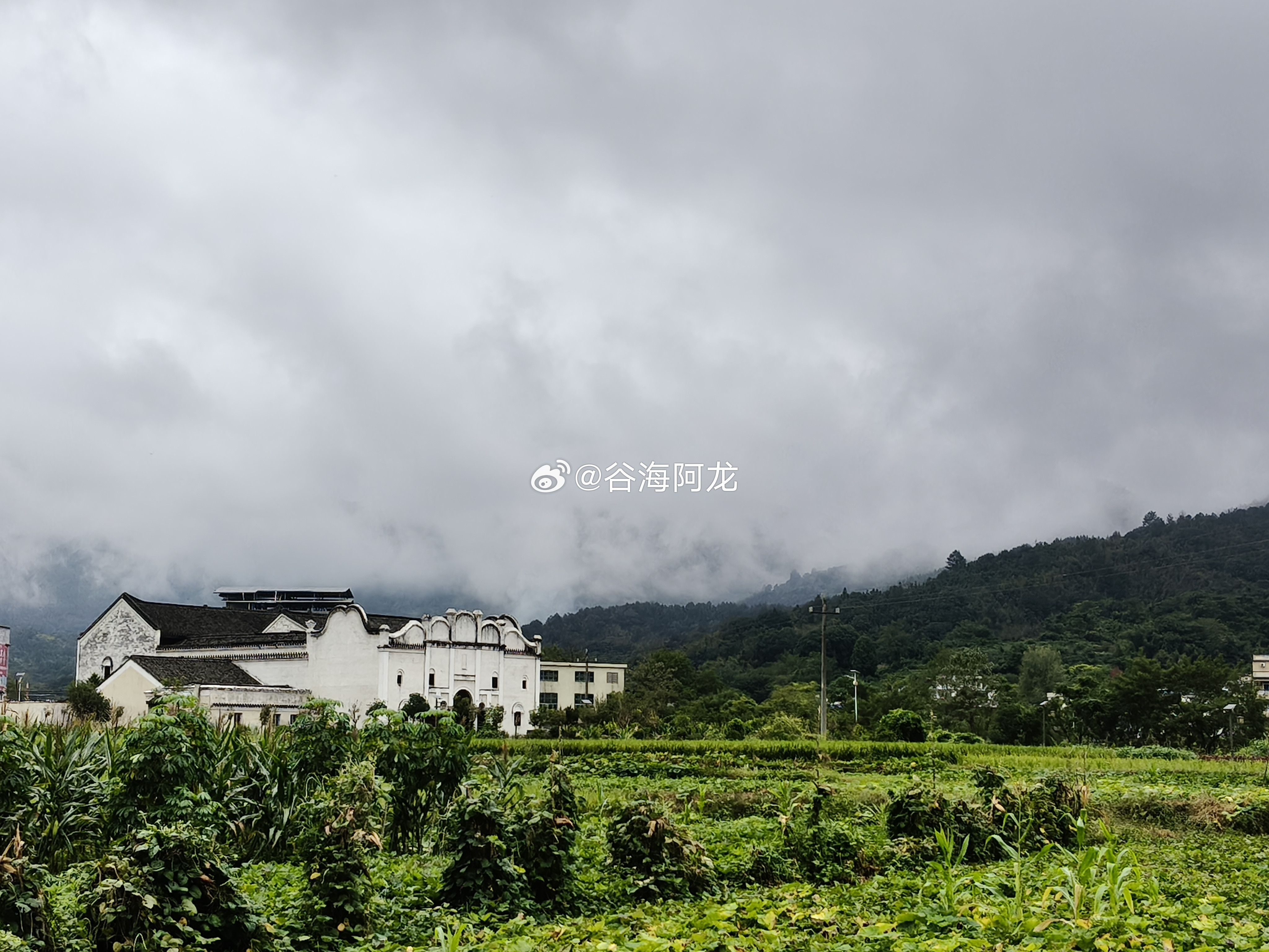重磅政策落地！新一轮中央环保督察启动，严禁一刀切关停经党中央、国务院批准，第三轮