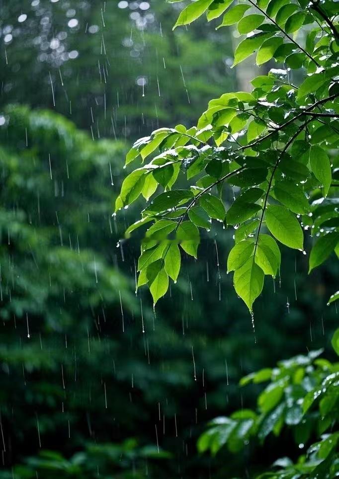 雨水节气玄学&养生注意事项：今晚的6:07，迎来雨水节气，阳气上升，阴气下降，阴