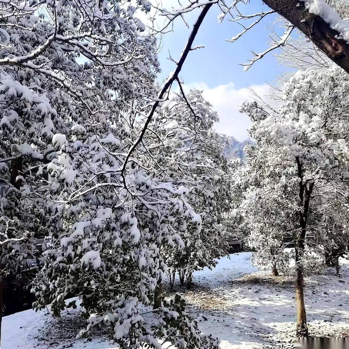 我们单位那个男的，就是那个出了名的“情圣”，突然就立地成佛了。真的，一点不夸张
