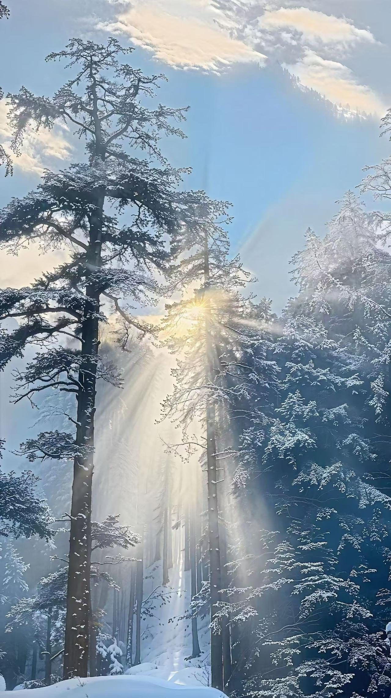 走过半生的忙碌与喧嚣，五十岁后，终于学会把日子往简单里过。不再执着于觥筹交