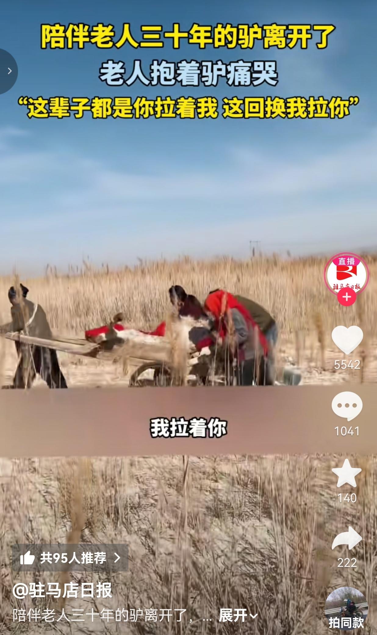 甘肃大爷哭倒在驴棚里！陪了他30年的老伙计走了，那句“换我拉你”看哭无数人