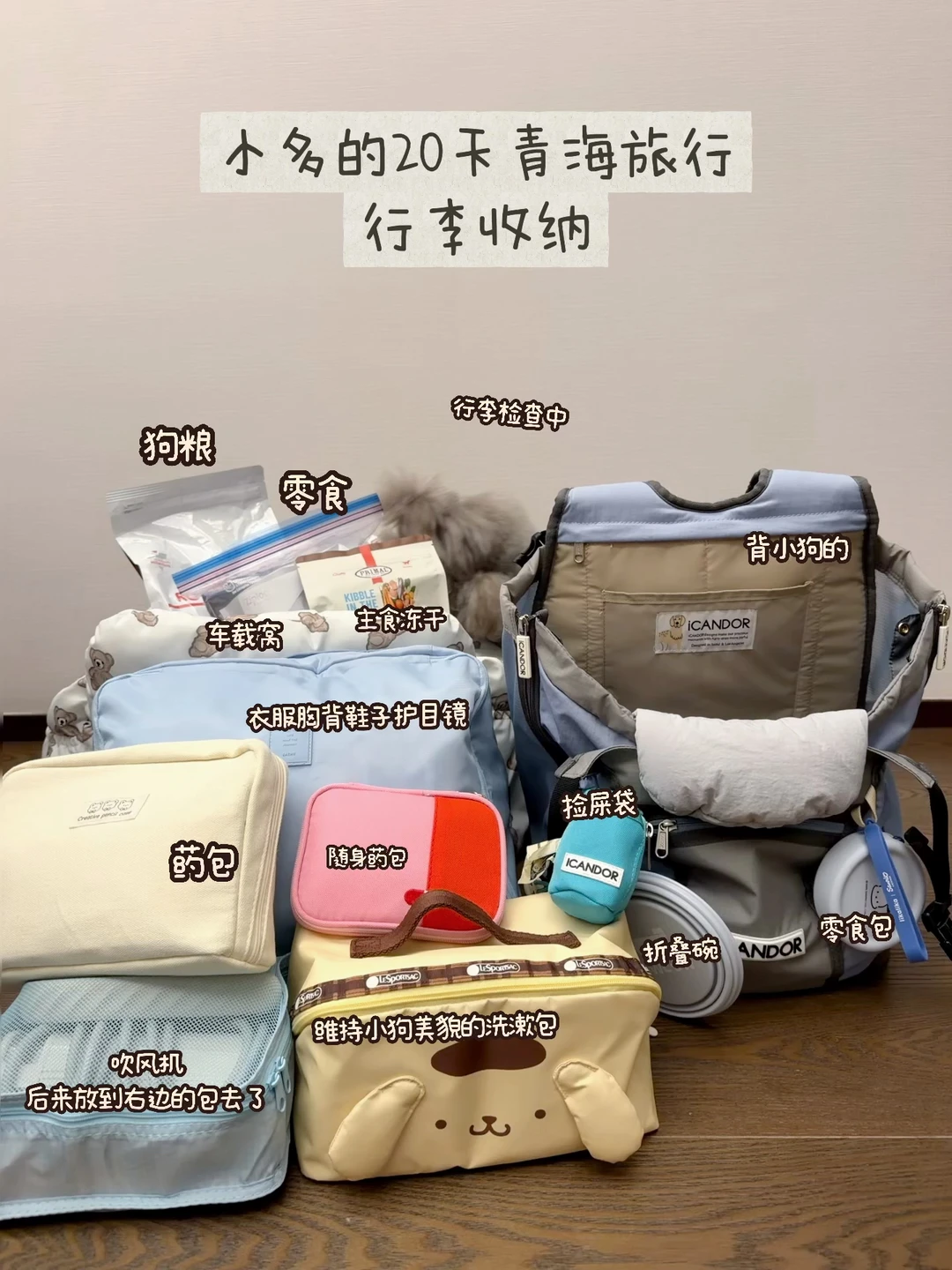 小狗20天青海旅行收纳