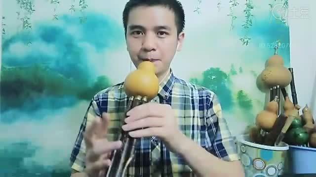 葫芦丝 小小新娘花 C调 云菲菲