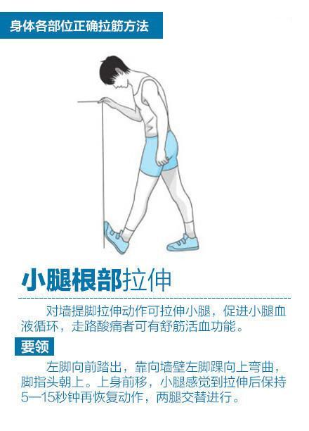 肩颈痛、腰腿痛: 试试拉筋术