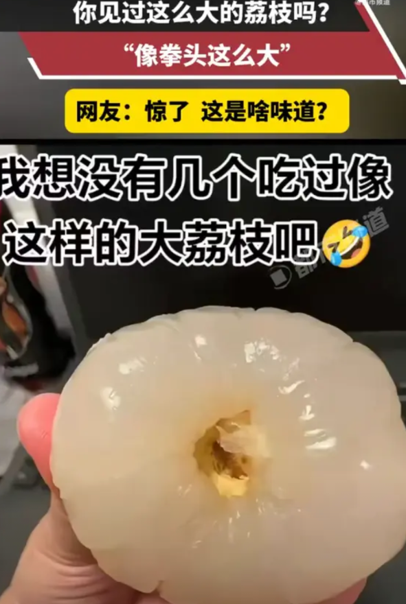 “活久见！”近日，广西，一位网友在集市上发现了一种和拳头差不多大小的荔枝，把它买