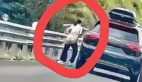 高速“裸奔”解手：一场本可避免的“社死”现场高速路上，一辆白色轿车突然停靠应