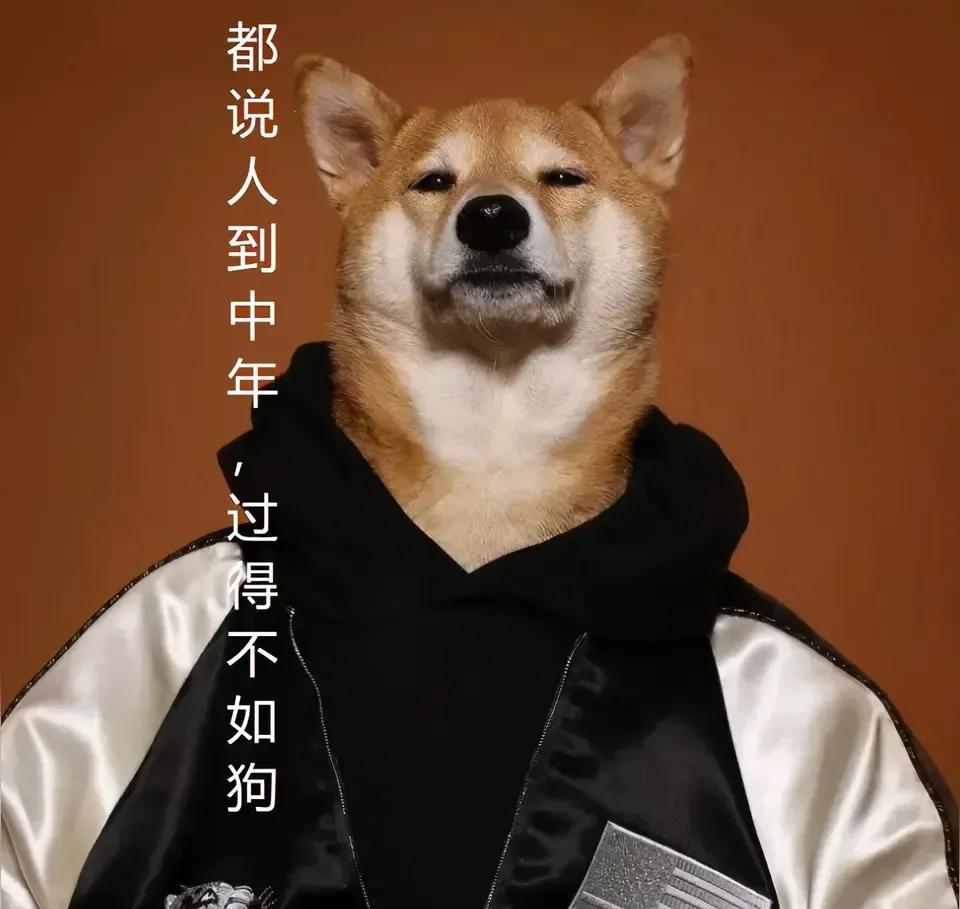 “如果有来生，我想变成你家的一条狗”老人令人发指的遗言。一位老奶奶在弥留之际哽咽