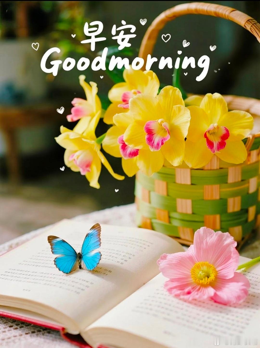 早安🌞有人撑伞是幸运，雨中独行是成长。只要脚踏实地，把握好自己的节奏，终会迎来