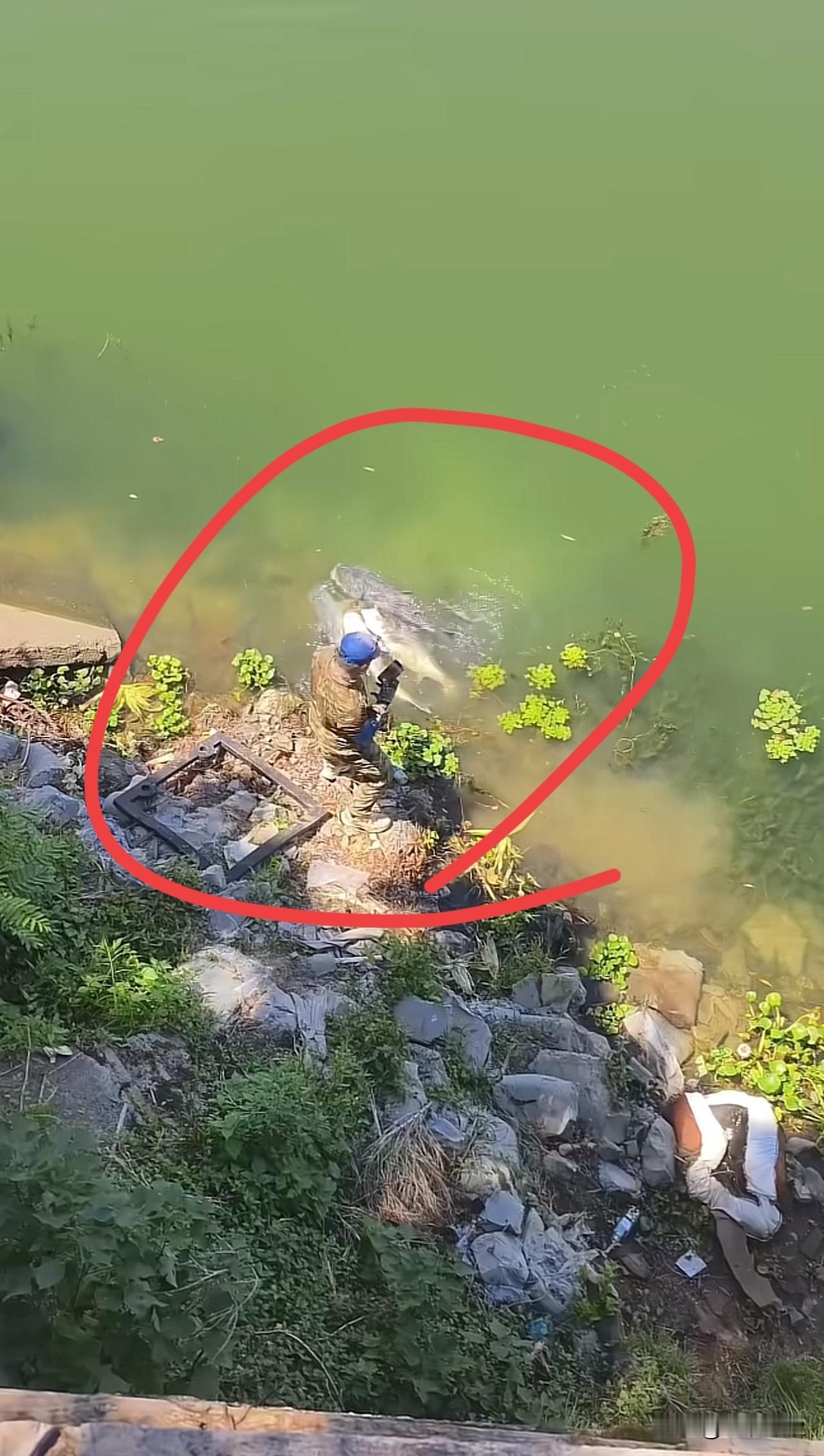 老铁的资源真好