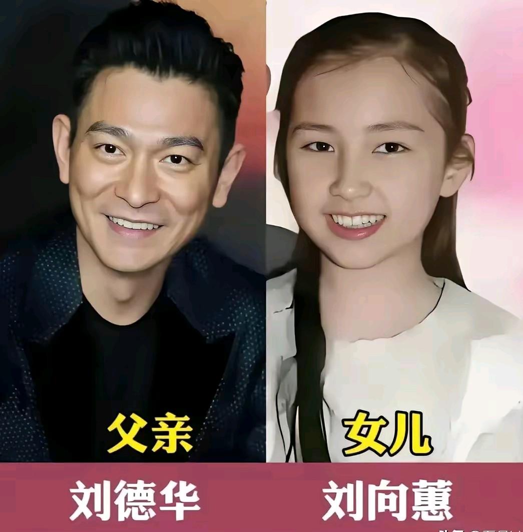 刘德华的颜值没能遗传给女儿刘向蕙真的有点可惜，刘德华的颜值在香港娱乐圈的男艺人中