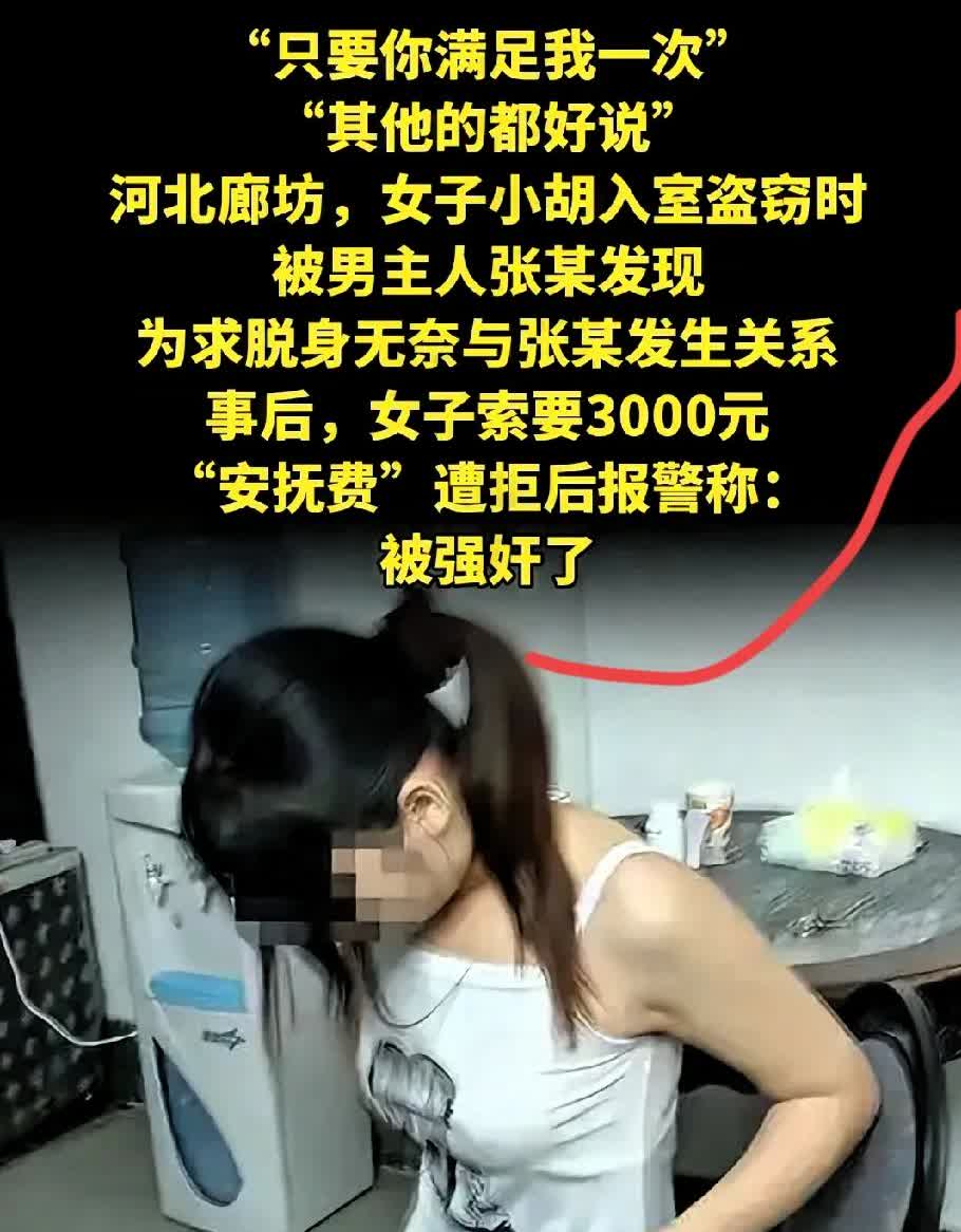 “只要你满足我一次，其他的都好说”河北廊坊这事儿，听着就窝火。