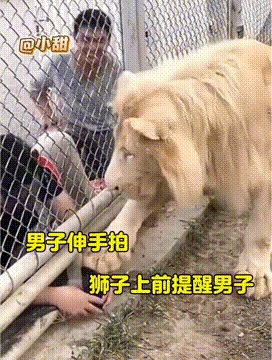 老铁小心点！他们说里面有猛兽！