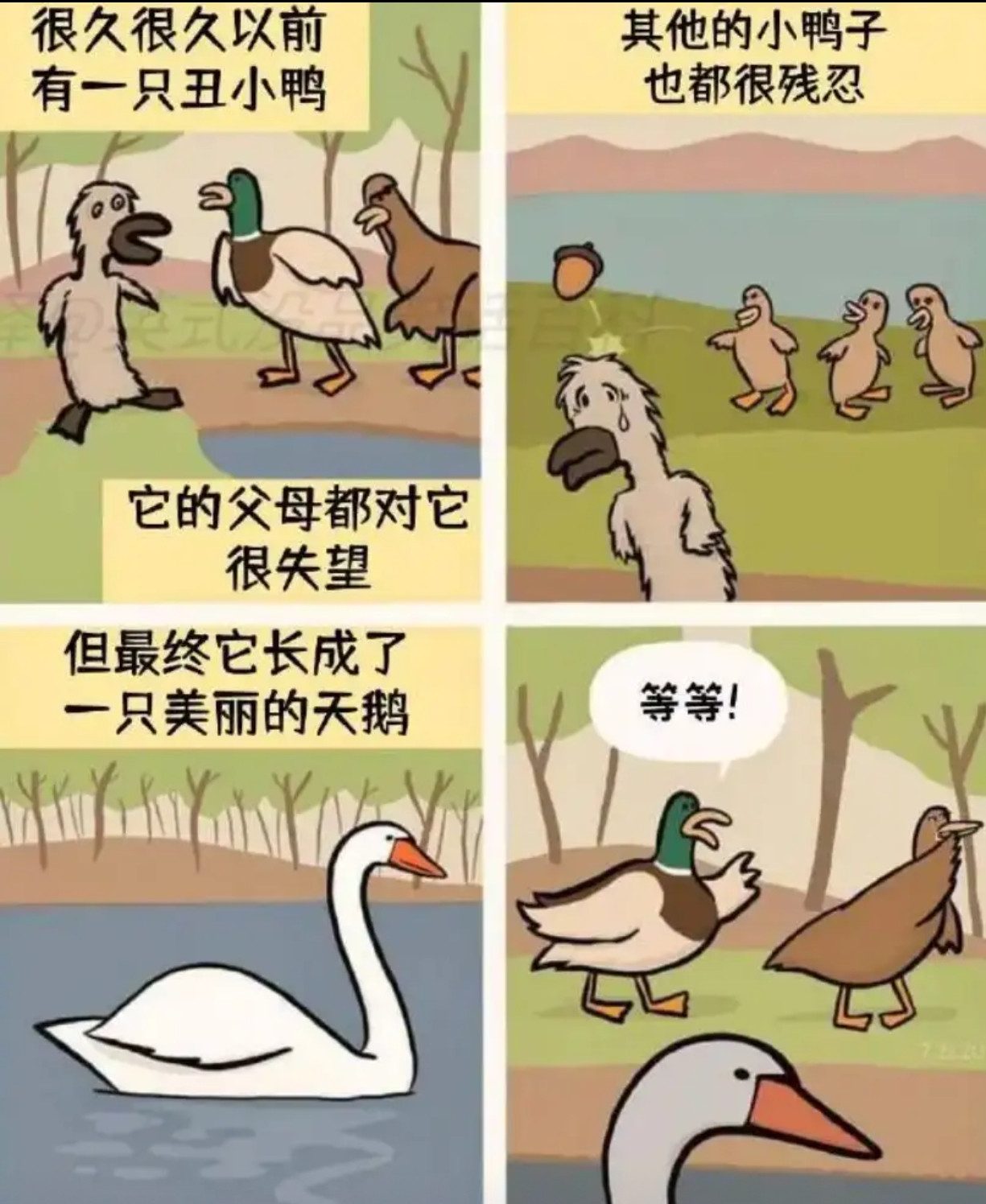 丑小鸭的故事