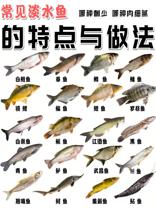 🐟淡水鱼吃法大赏！挑鱼、做菜全攻略