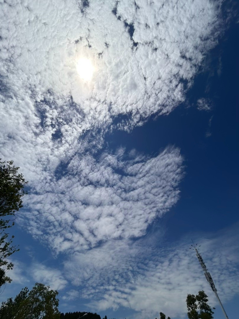 今天的天空很晴朗！但是今天的云有点可怕！