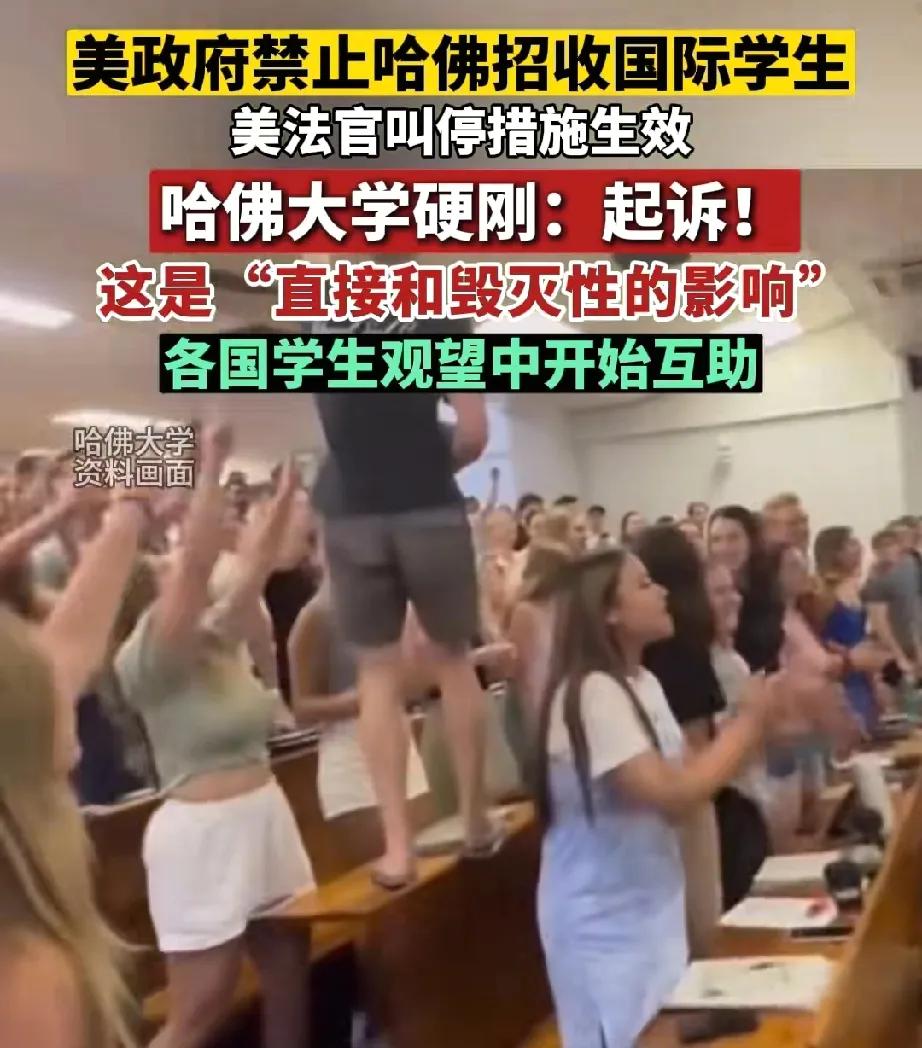 特朗普对哈佛大学的留学生出手，就是在逼着这些学生做选择，要么走人，要么买美国国籍