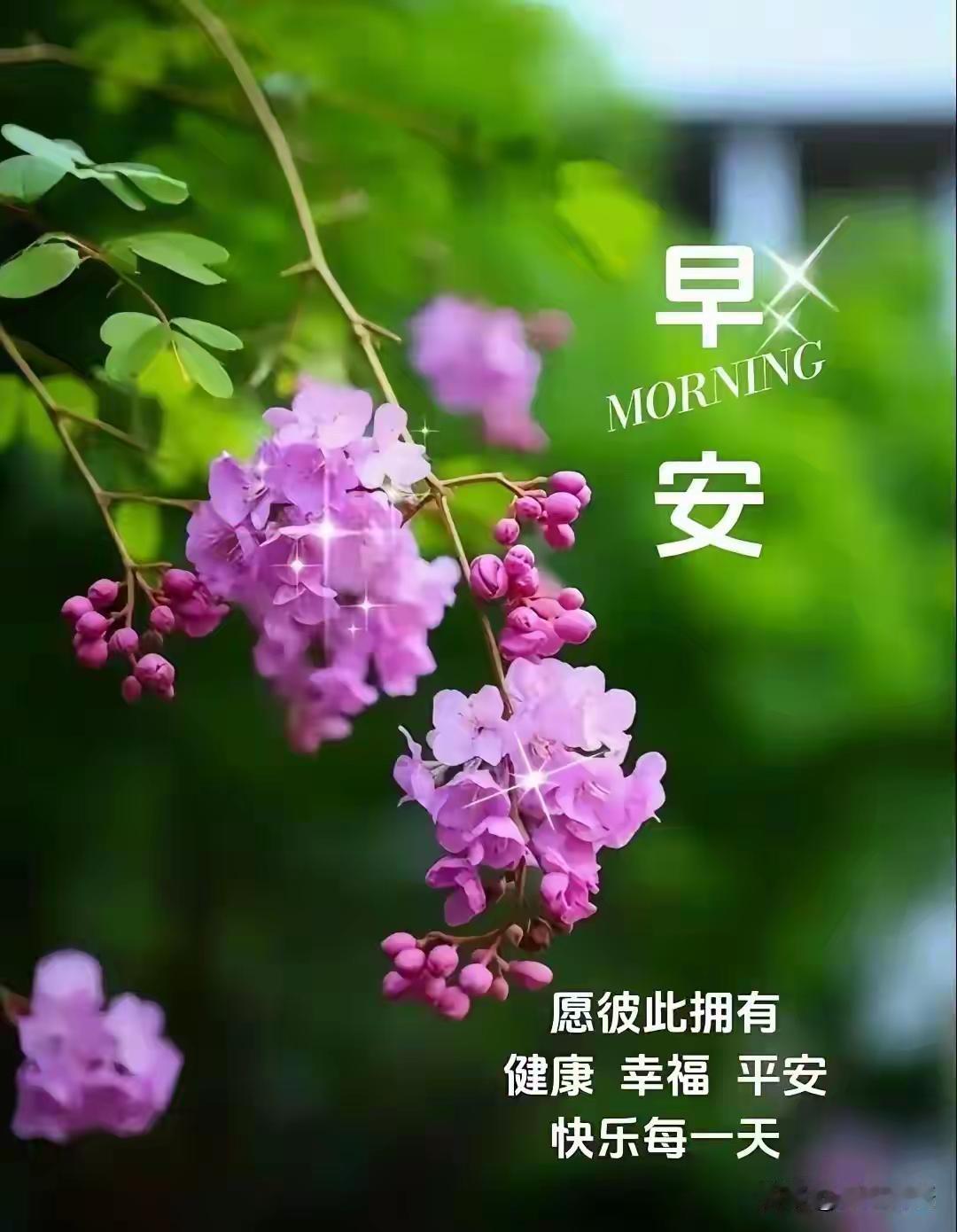 早安呀！愿健康、幸福、平安、快乐常伴你左右。健康在，咱就是生活里的强者，能有更