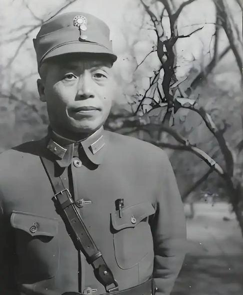 1946年的广州城隍庙，一位太太进香路过，被一位算命先生拦下。那相士盯着她看了几