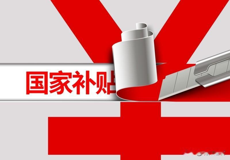 中央明确明年延续国补政策，引发社会热议。有观点建议发放全民消费券，让每个家庭根据